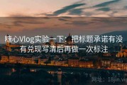 糖心Vlog实验一下：把标题承诺有没有兑现写清后再做一次标注